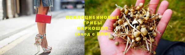 apvp Армянск