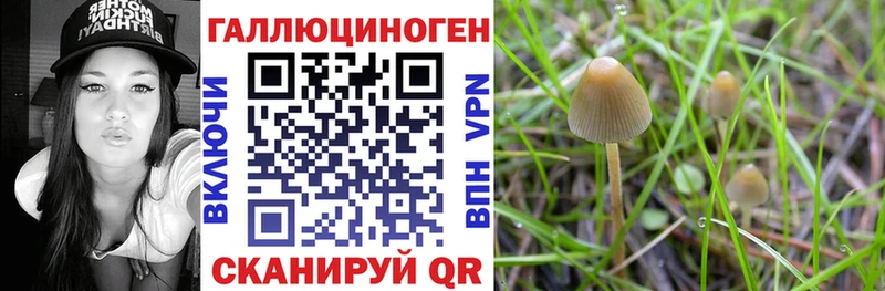 Галлюциногенные грибы мухоморы сайты даркнета официальный сайт Копейск