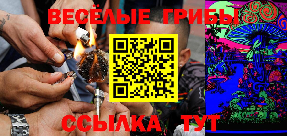 Псилоцибиновые грибы GOLDEN TEACHER Копейск